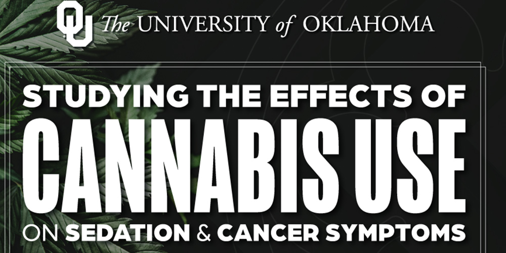 OU Researchers Study Effects of Cannabis on Sedation, Cancer Treatment Symptoms