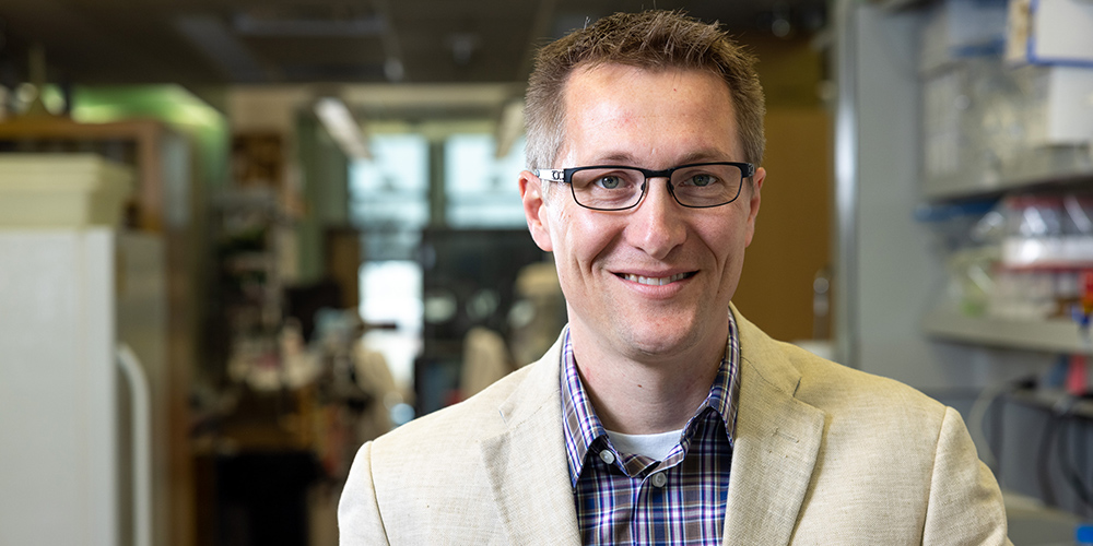 Research Shows How Hormone Can Reverse Fatty Liver Disease