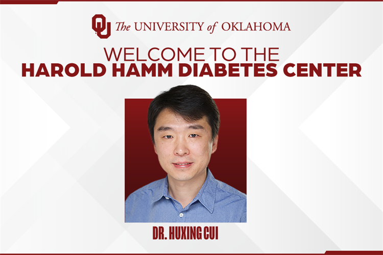 Cui Brings Neuroscience Expertise to Harold Hamm Diabetes Center