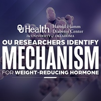 Researchers Identify Mechanism for Body Weight-Reducing Hormone