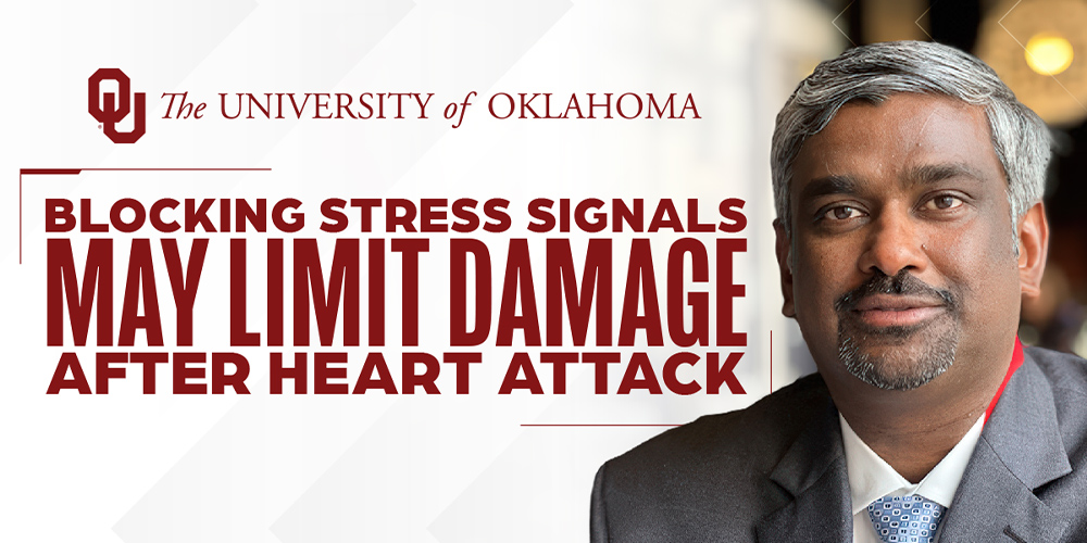 Blocking Stress Signals Could Limit Harmful Inflammation After Heart Attack