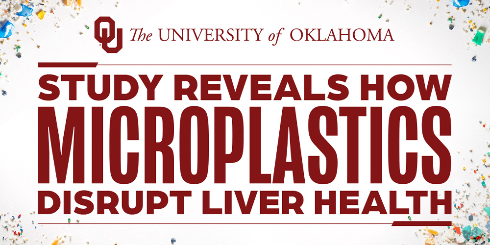 Microplastics May Worsen Fatty Liver Disease, New Study Suggests