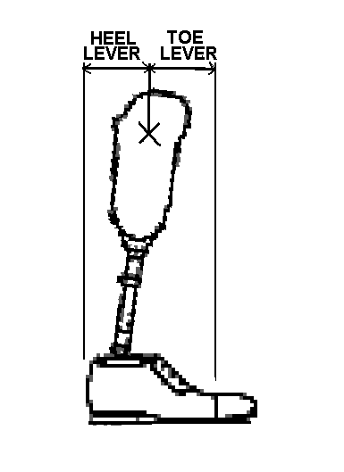 dorsiflexing the prosthetic ankle