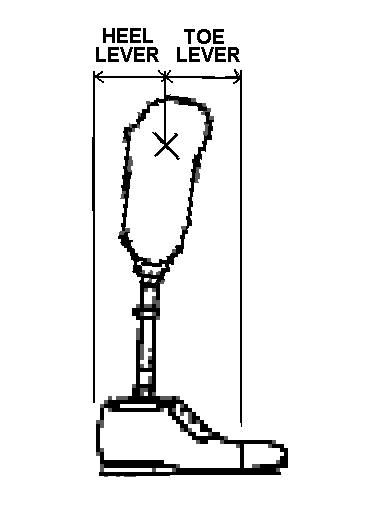 Flexing the Below-knee (BK) socket