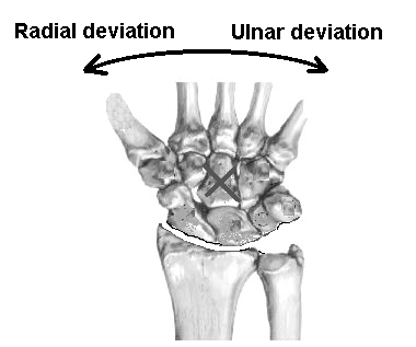 ap axis of wrist complex