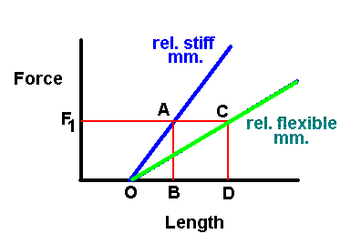 stiffness and force during SSC