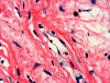 Com308-2-HM3.jpg (102977 bytes)